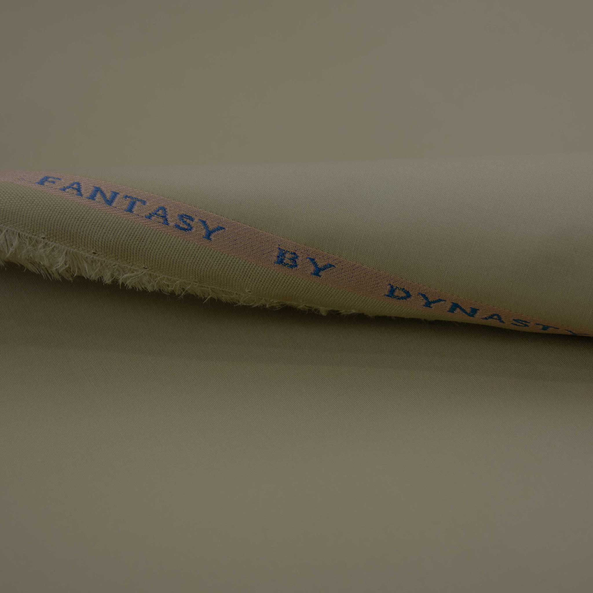 Fantasy Latha - Image 5